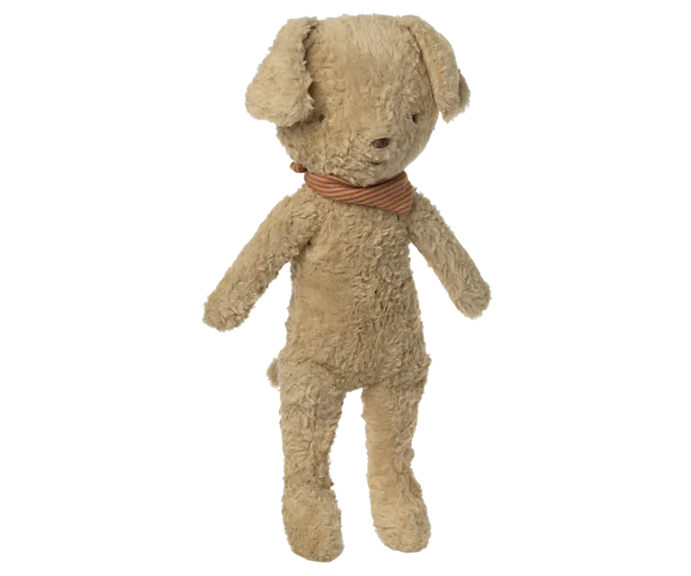 Poodle dog