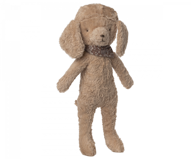 Poodle dog
