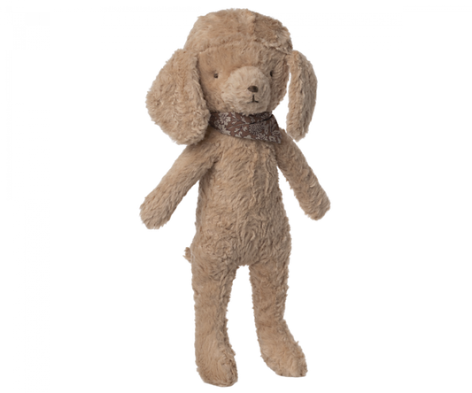 Perro caniche