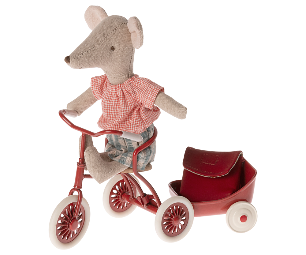 Hermana mayor colegial