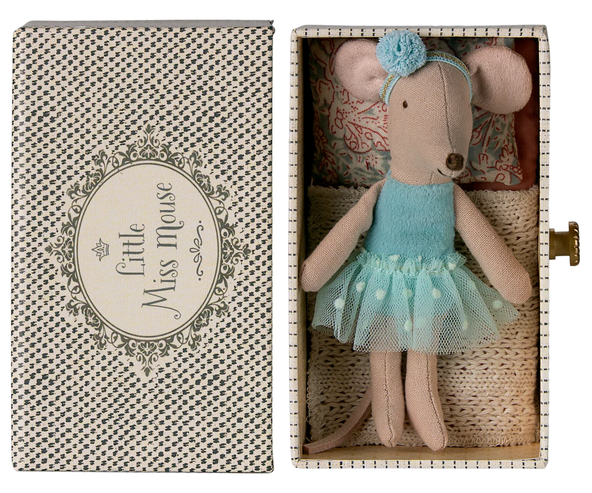Little mouse ballerina sister in her drawer