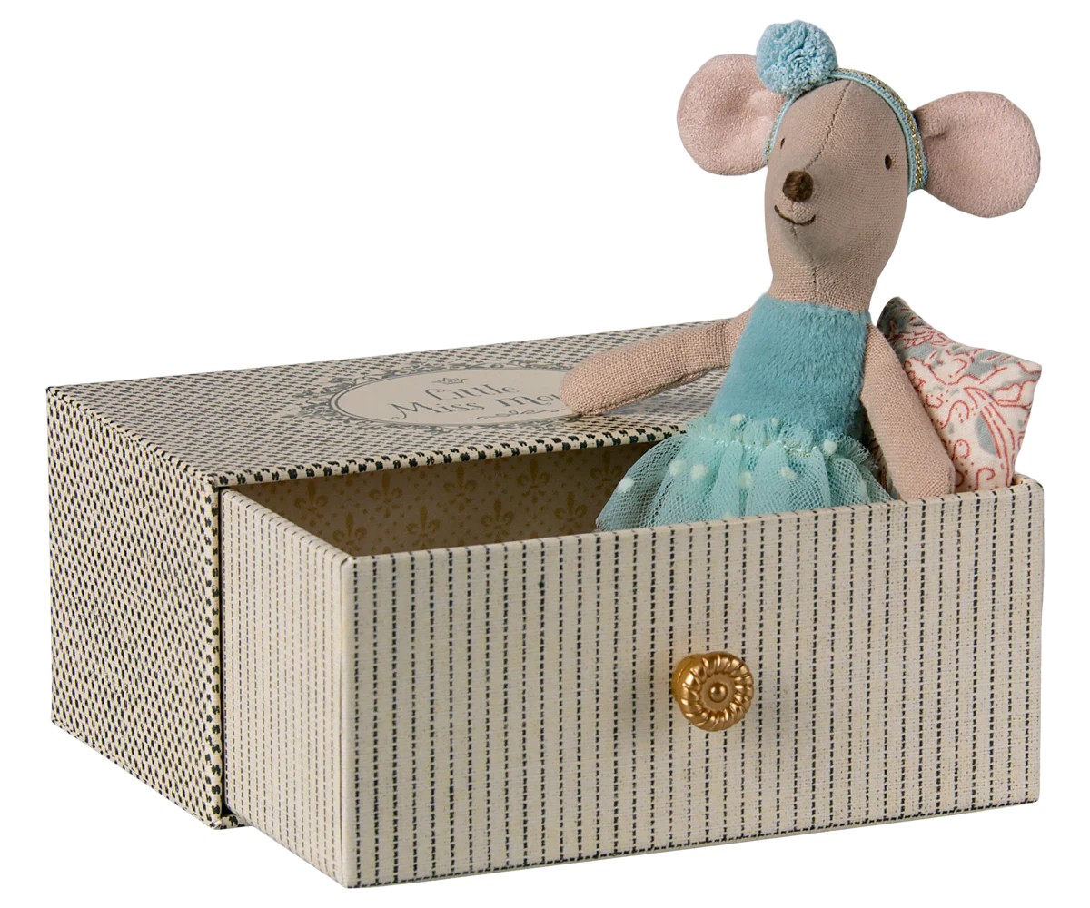Little mouse ballerina sister in her drawer