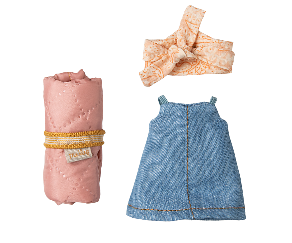 Ratones excursionistas