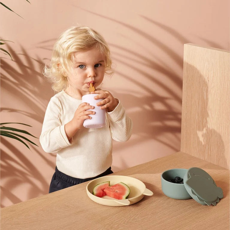 Pajitas reutilizables jungla x10